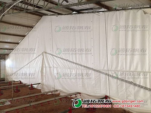 供應(yīng)配額白色篷布 非織造布,農(nóng)漁業(yè) 紡機(jī)網(wǎng)