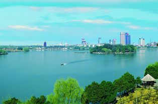 以智能交通為突破口，嘉興將駛上智慧城市建設快車道